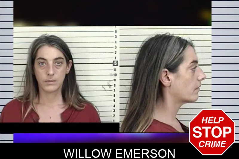 Willow Emerson mugshot