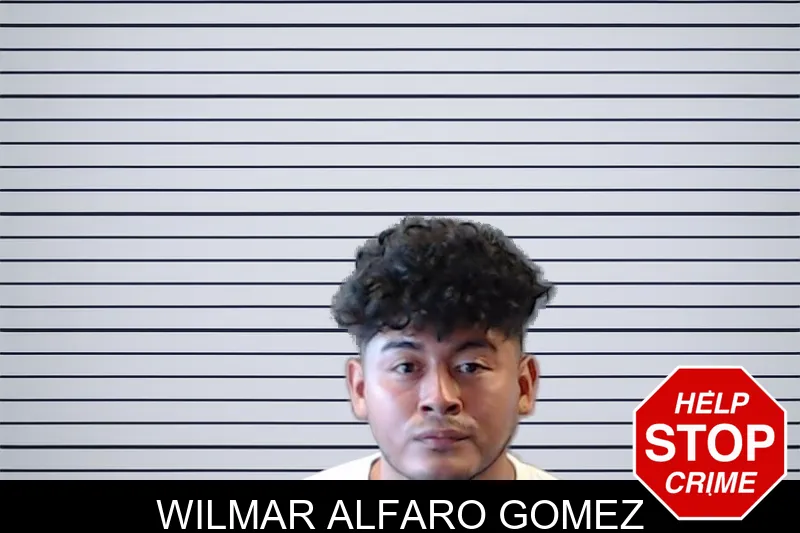Wilmar Alfaro Gomez mugshot