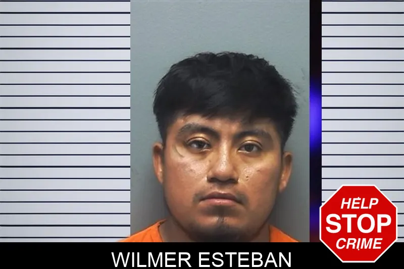 Wilmer Esteban mugshot