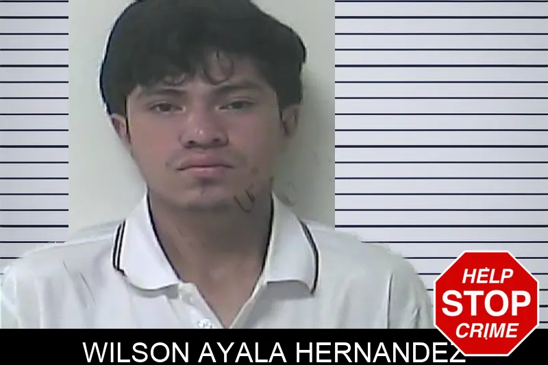 Wilson Ayala Hernandez mugshot