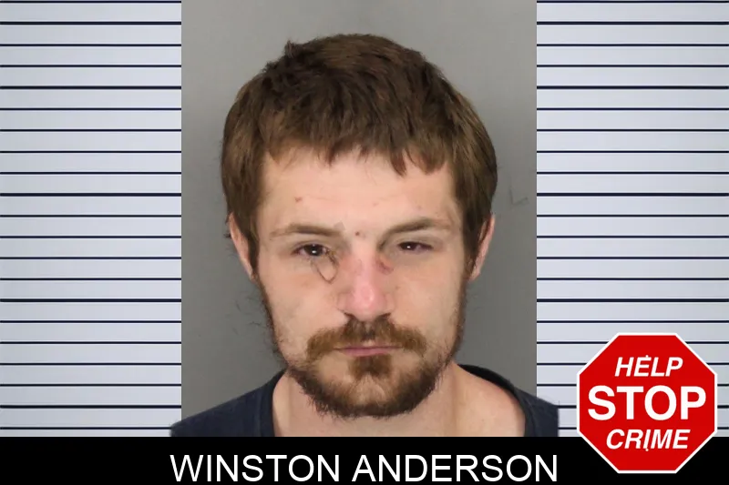 Winston Anderson mugshot – Cobb County , Georgia Winston Anderson mugshot