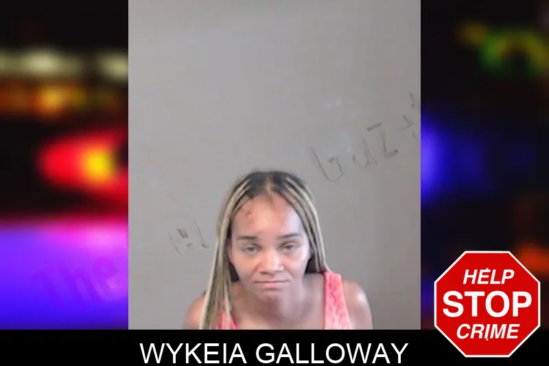 Wykeia Galloway mugshot