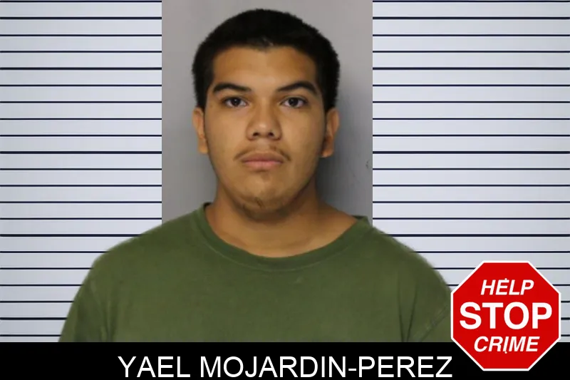Yael Mojardin-Perez mugshot – Hall County , Georgia Yael Mojardin-Perez mugshot