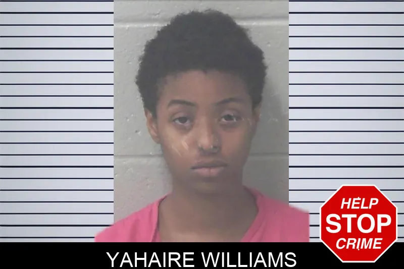 Yahaire Williams mugshot
