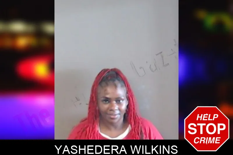 Yashedera Wilkins mugshot