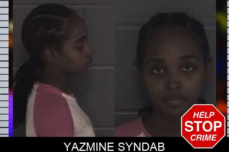 Yazmine Syndab mugshot