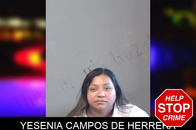 Yesenia Campos De Herrera mugshot