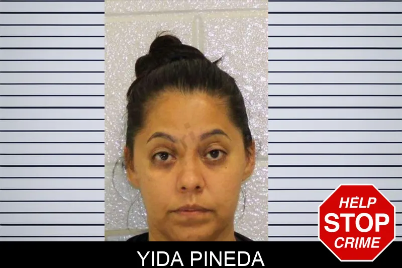 Yida Pineda mugshot