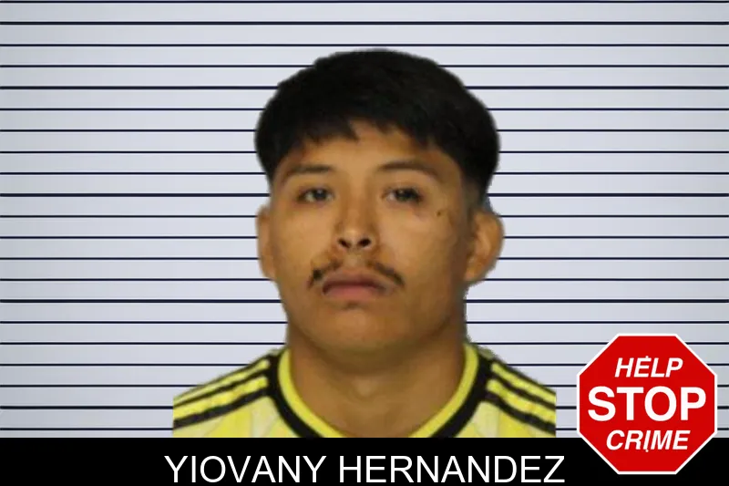 Yiovany Hernandez mugshot