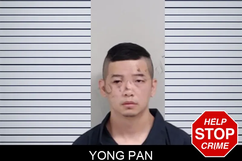 Yong Pan mugshot
