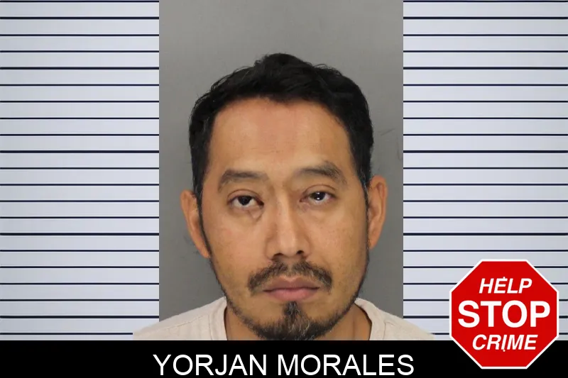 Yorjan Morales mugshot
