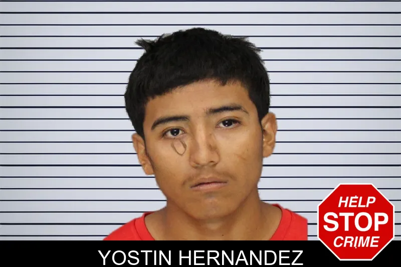 Yostin Hernandez mugshot