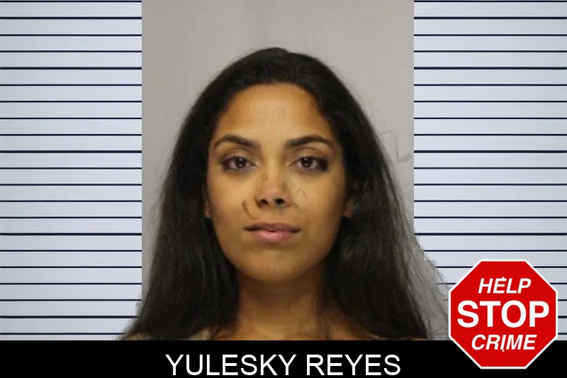 Yulesky Reyes mugshot