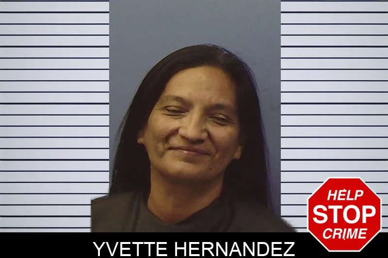 Yvette Hernandez mugshot