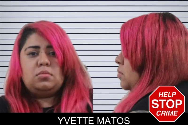 Yvette Matos mugshot