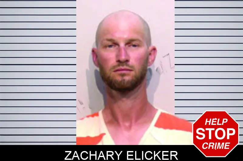 Zachary Elicker mugshot – Bartow County , Georgia Zachary Elicker mugshot