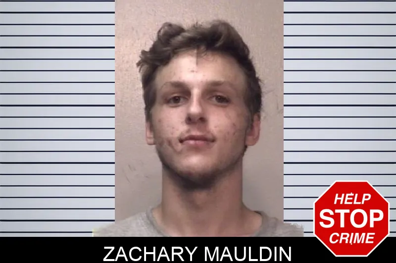 Zachary Mauldin mugshot