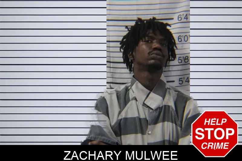 Zachary Mulwee mugshot – Stephens County , Georgia Zachary Mulwee mugshot