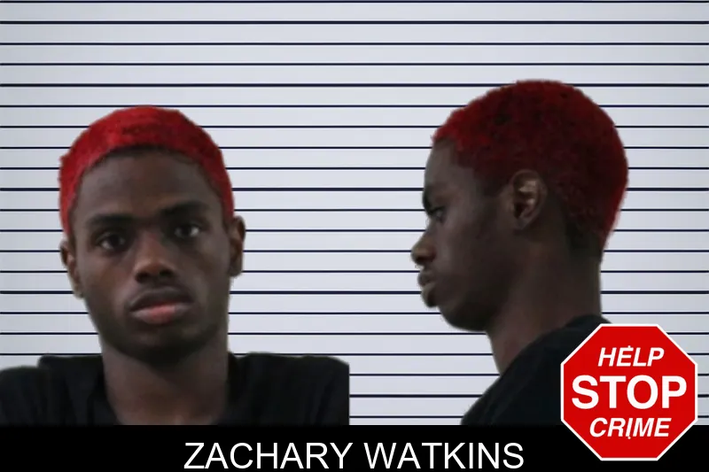 Zachary Watkins mugshot – Houston County , Georgia Zachary Watkins mugshot
