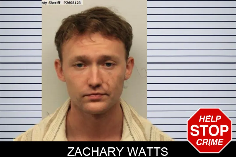 Zachary Watts mugshot – Chatham County , Georgia Zachary Watts mugshot