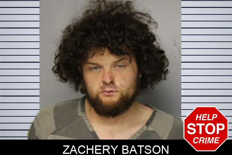 Zachery Batson mugshot – Hall County , Georgia Zachery Batson mugshot
