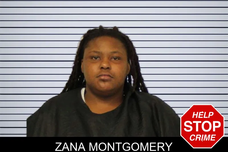 Zana Montgomery mugshot – Carroll County , Georgia Zana Montgomery mugshot
