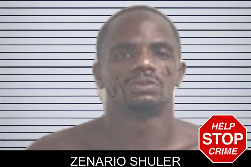 Zenario Shuler mugshot