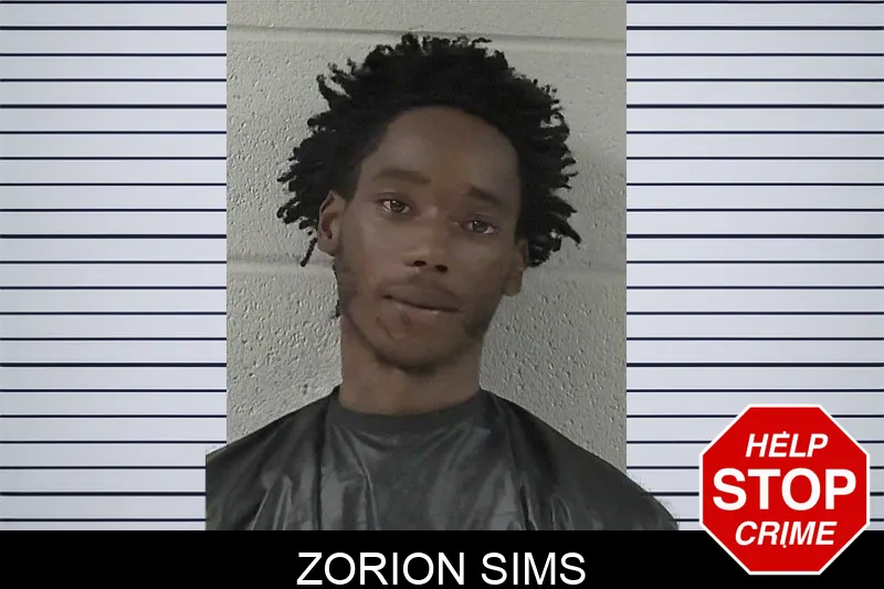 Zorion Sims mugshot