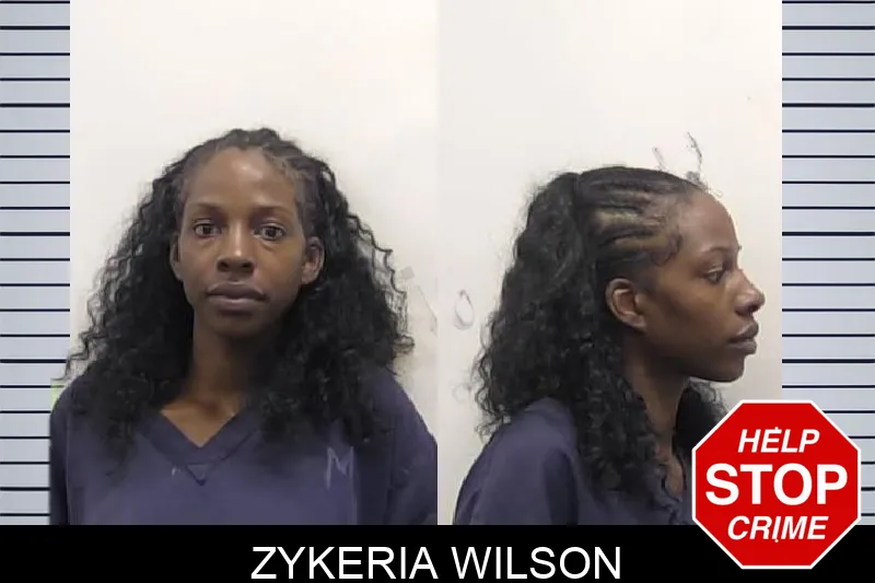 Zykeria Wilson mugshot