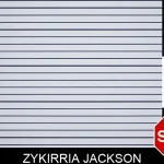 Zykirria Jackson mugshot