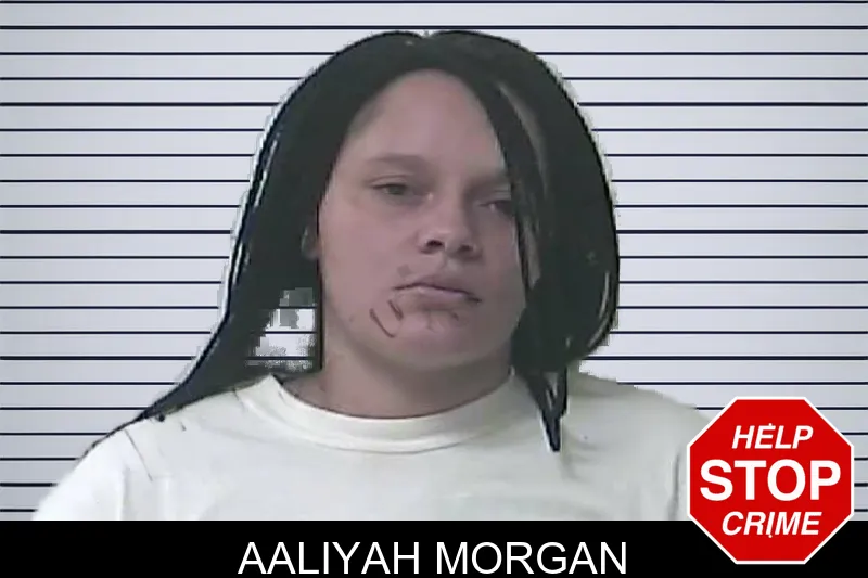 Aaliyah Morgan mugshot