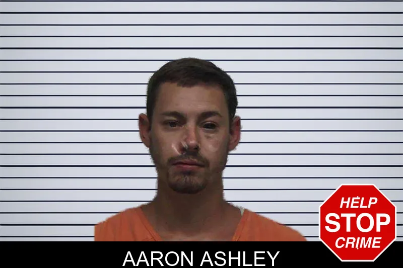 Aaron Ashley mugshot – Laurens County , Georgia Aaron Ashley mugshot