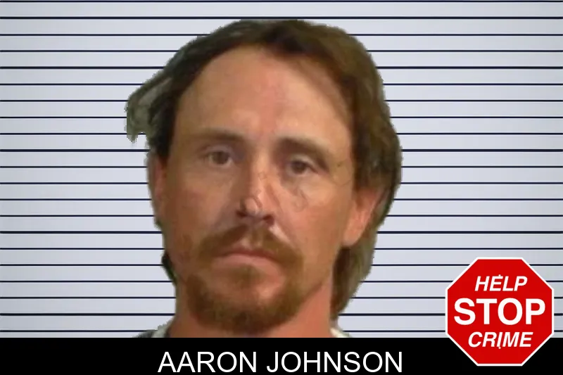 Aaron Johnson mugshot – Upson County , Georgia Aaron Johnson mugshot