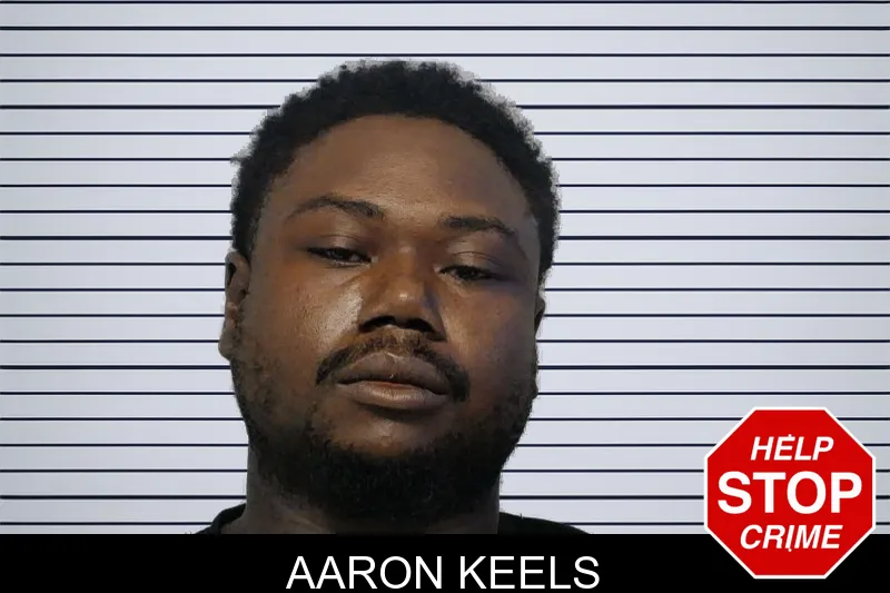Aaron Keels mugshot
