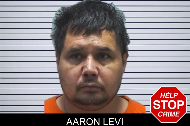 Aaron Levi mugshot