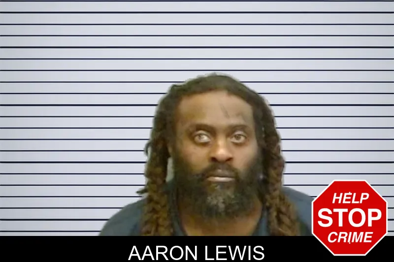 Aaron Lewis mugshot