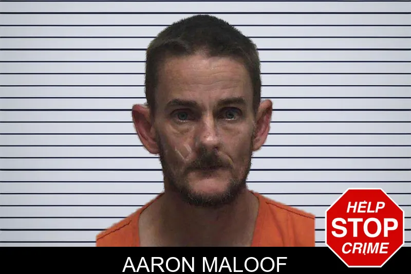 Aaron Maloof mugshot – Laurens County , Georgia Aaron Maloof mugshot
