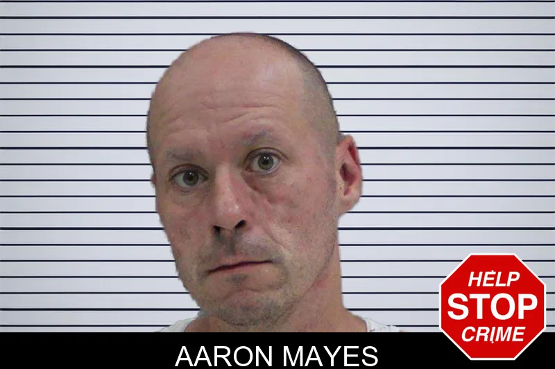 Aaron Mayes mugshot