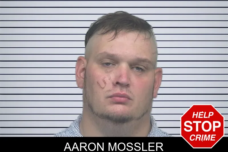 Aaron Mossler mugshot – Gwinnett County , Georgia Aaron Mossler mugshot