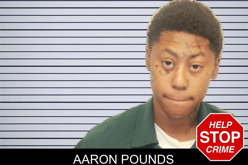 Aaron Pounds mugshot
