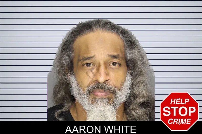 Aaron White mugshot