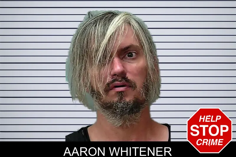 Aaron Whitener mugshot – Towns County , Georgia Aaron Whitener mugshot
