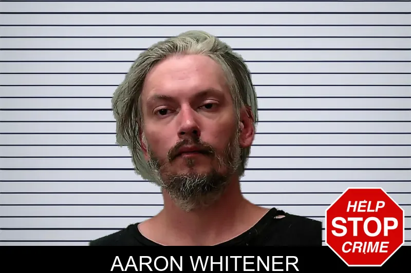 Aaron Whitener mugshot – Towns County , Georgia Aaron Whitener mugshot