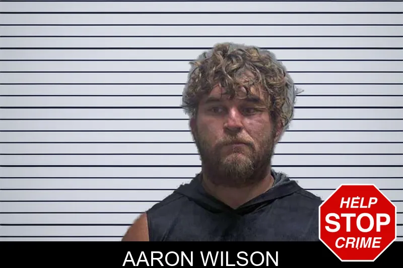 Aaron Wilson mugshot