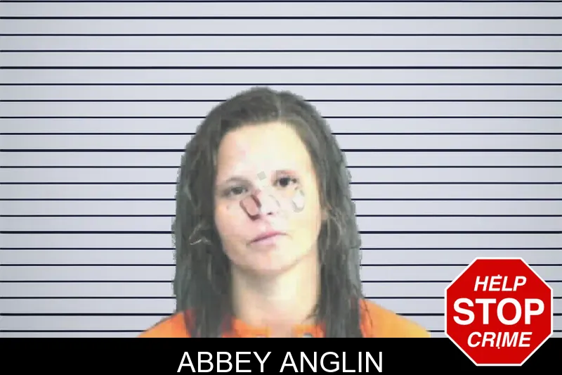 Abbey Anglin mugshot – Mitchell County , Georgia Abbey Anglin mugshot