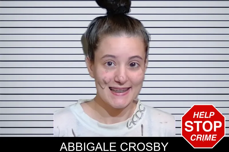 Abbigale Crosby mugshot – Glynn County , Georgia Abbigale Crosby mugshot