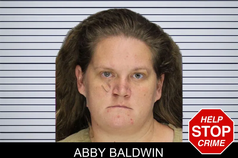 Abby Baldwin mugshot – Cobb County , Georgia Abby Baldwin mugshot