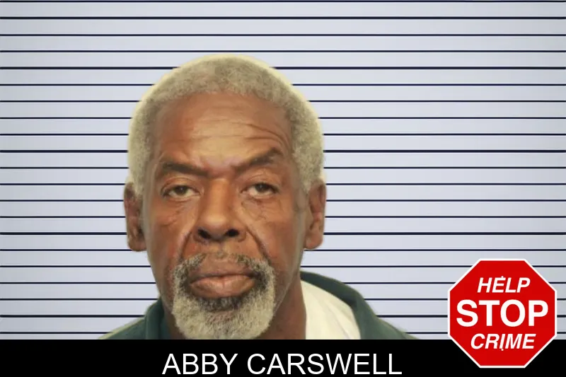 Abby Carswell mugshot – Chatham County , Georgia Abby Carswell mugshot