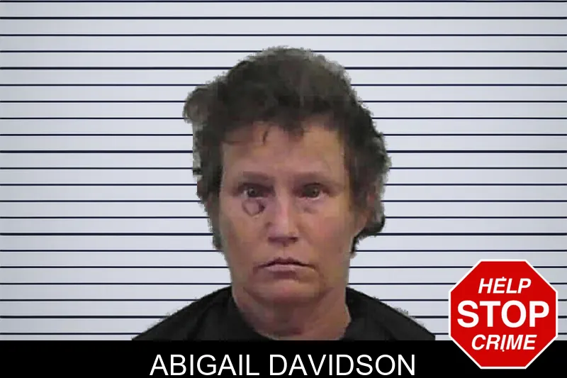 Abigail Davidson mugshot – Butts County , Georgia Abigail Davidson mugshot