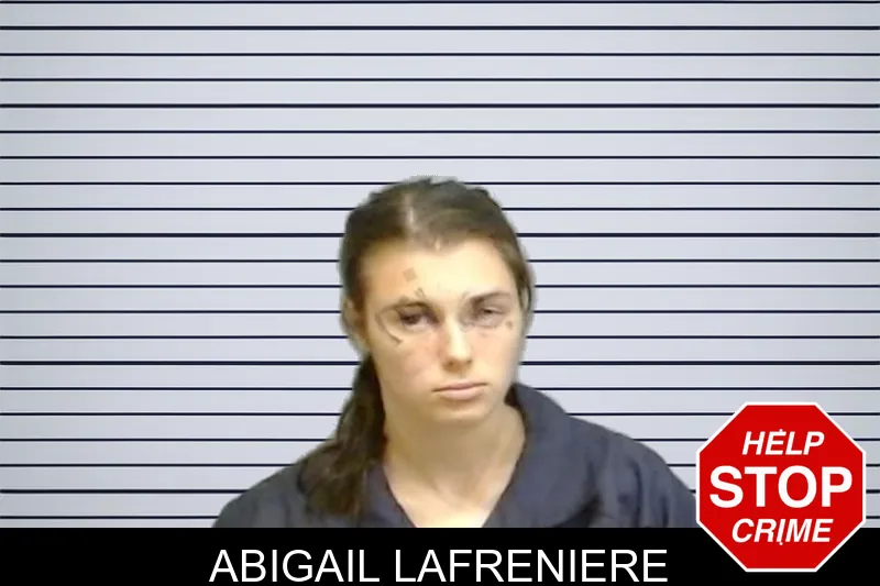 Abigail Lafreniere mugshot – Fulton County , Georgia Abigail Lafreniere mugshot